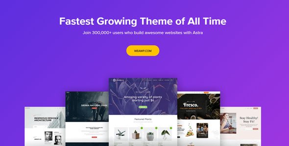 Astra-Pro-Customizable-WordPress-Theme-for-Any-Website