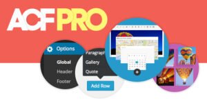 Advanced Custom Fields Pro v6.3.6